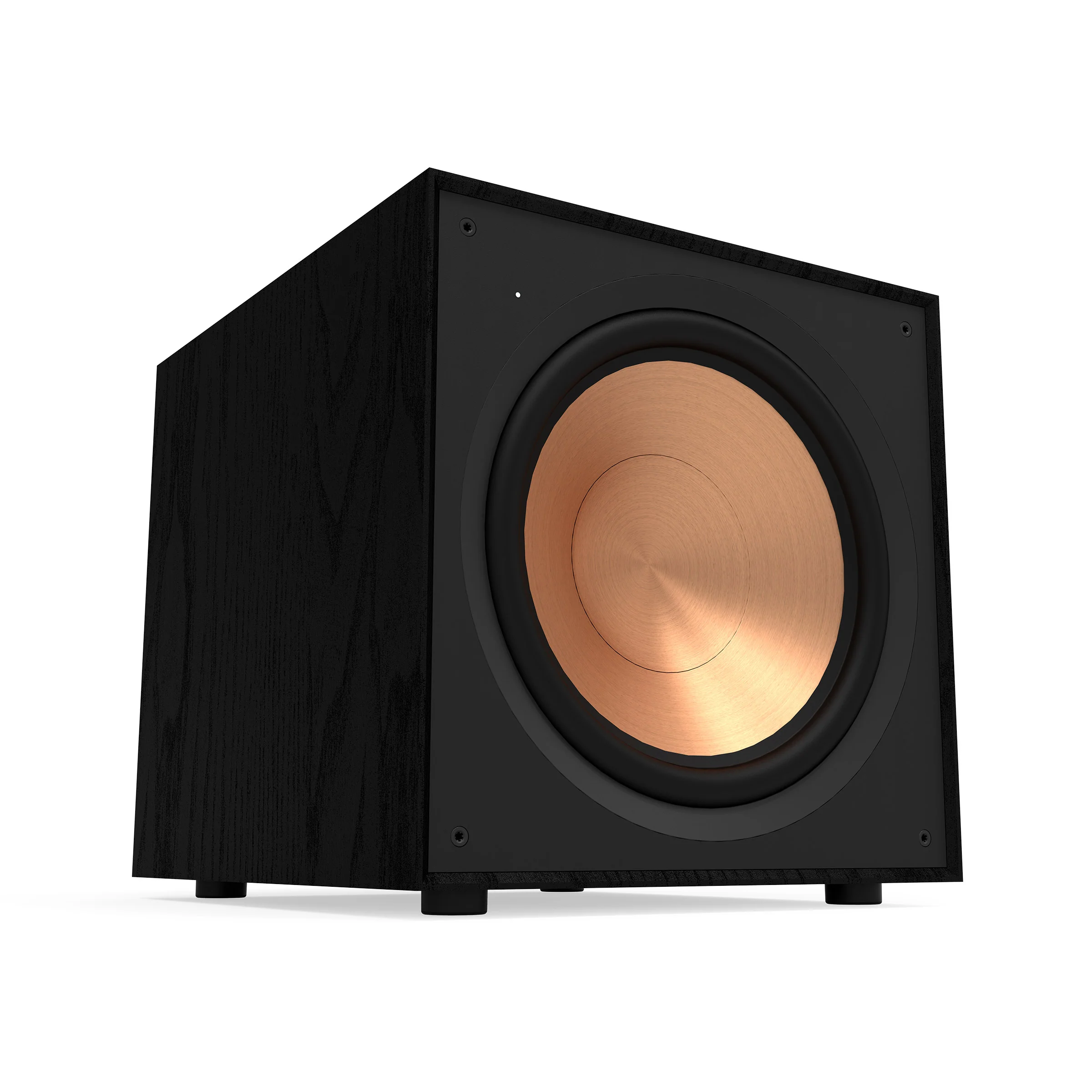 R-121SW 12" Subwoofer - Image 4
