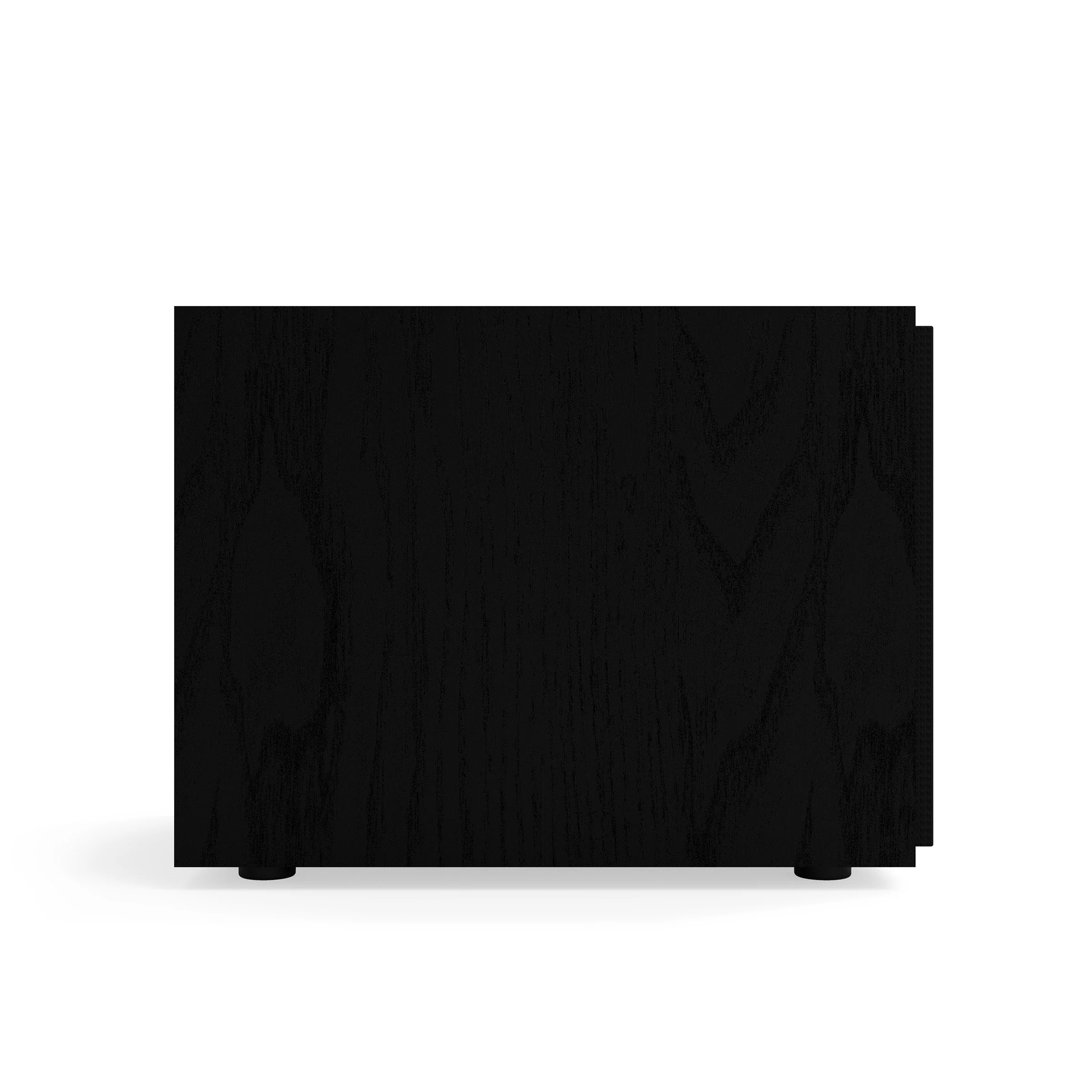 R-121SW 12" Subwoofer - Image 5
