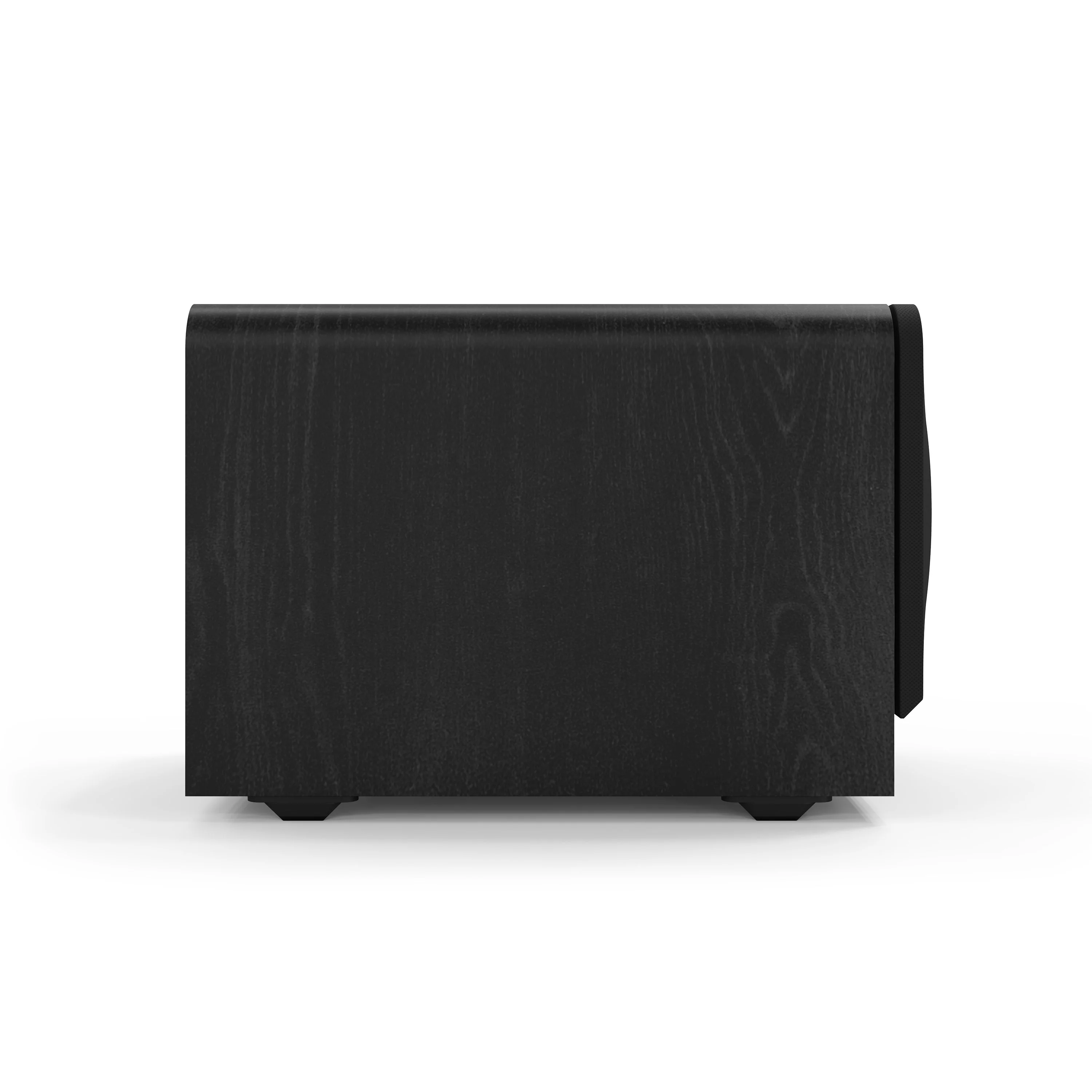 RP-1000-SW 10" Subwoofer - Image 5
