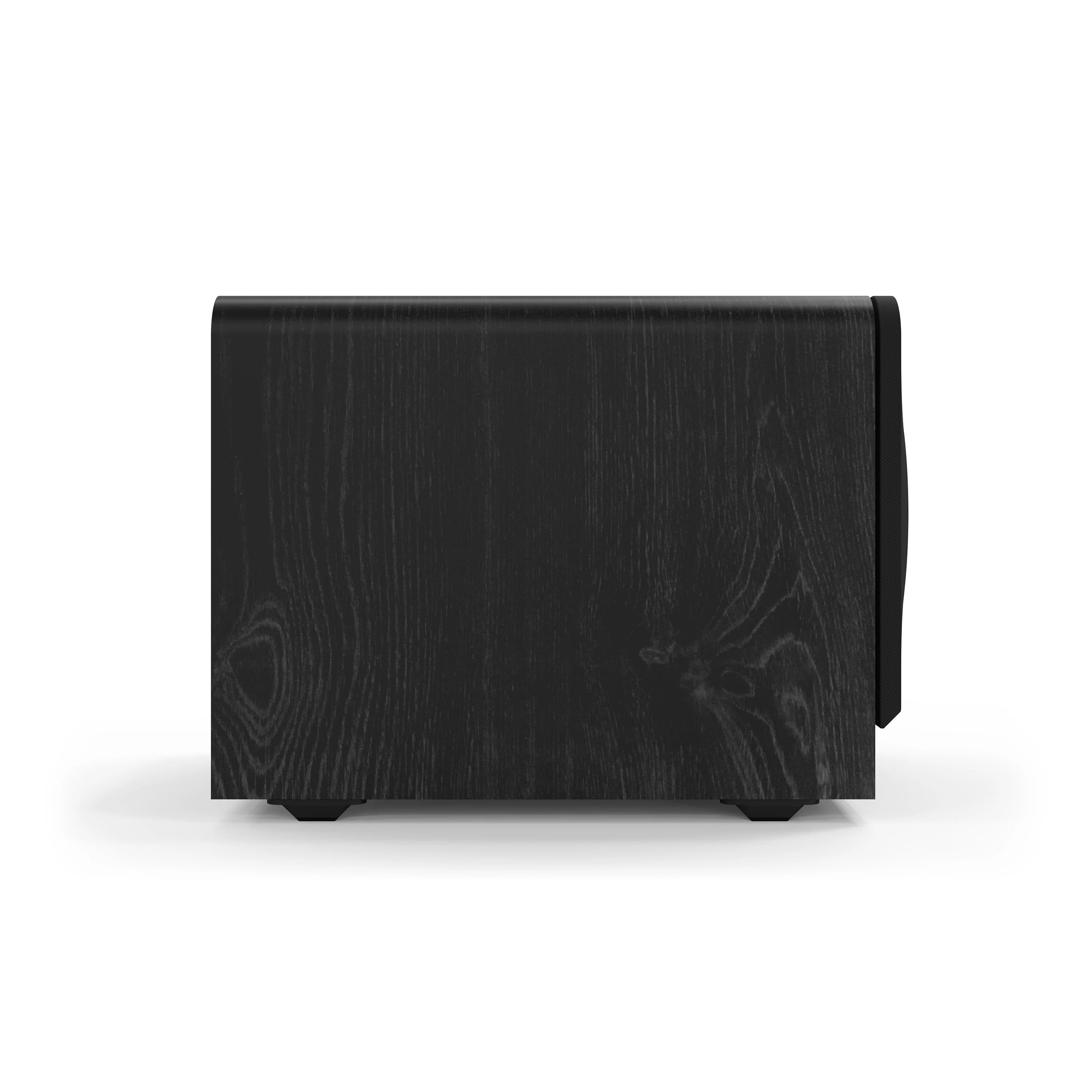 RP-1200-SW 12" Subwoofer - Image 5